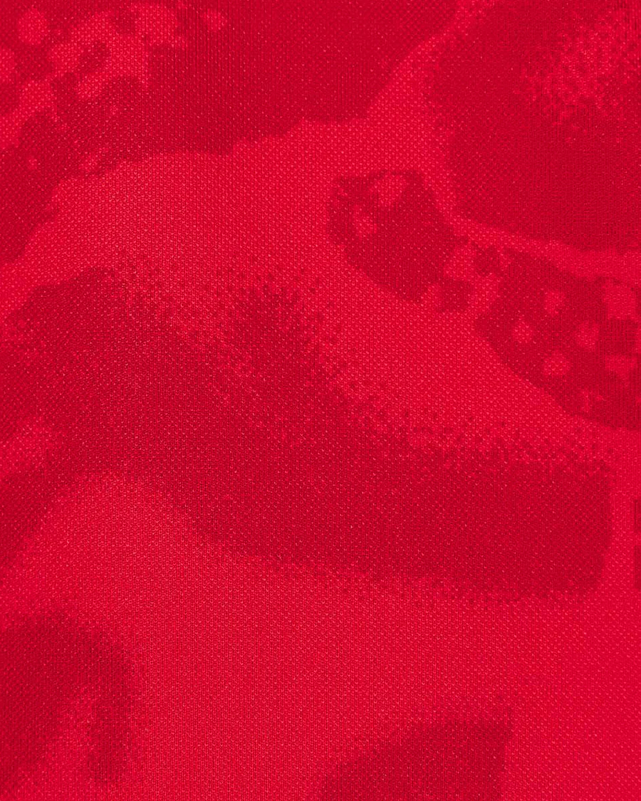 Camiseta Pre-Match 2025-2026 - Image 6