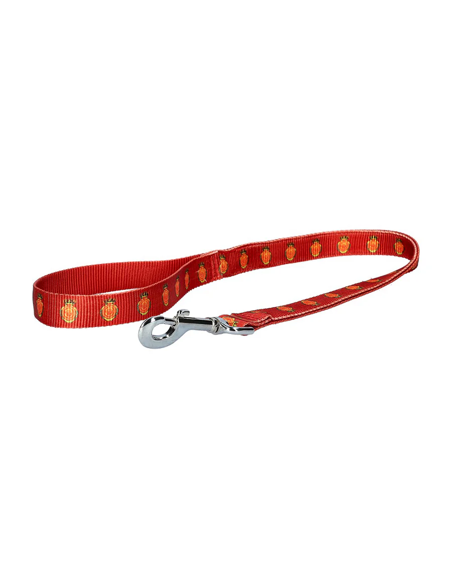 Correa Perro Roja - Image 2